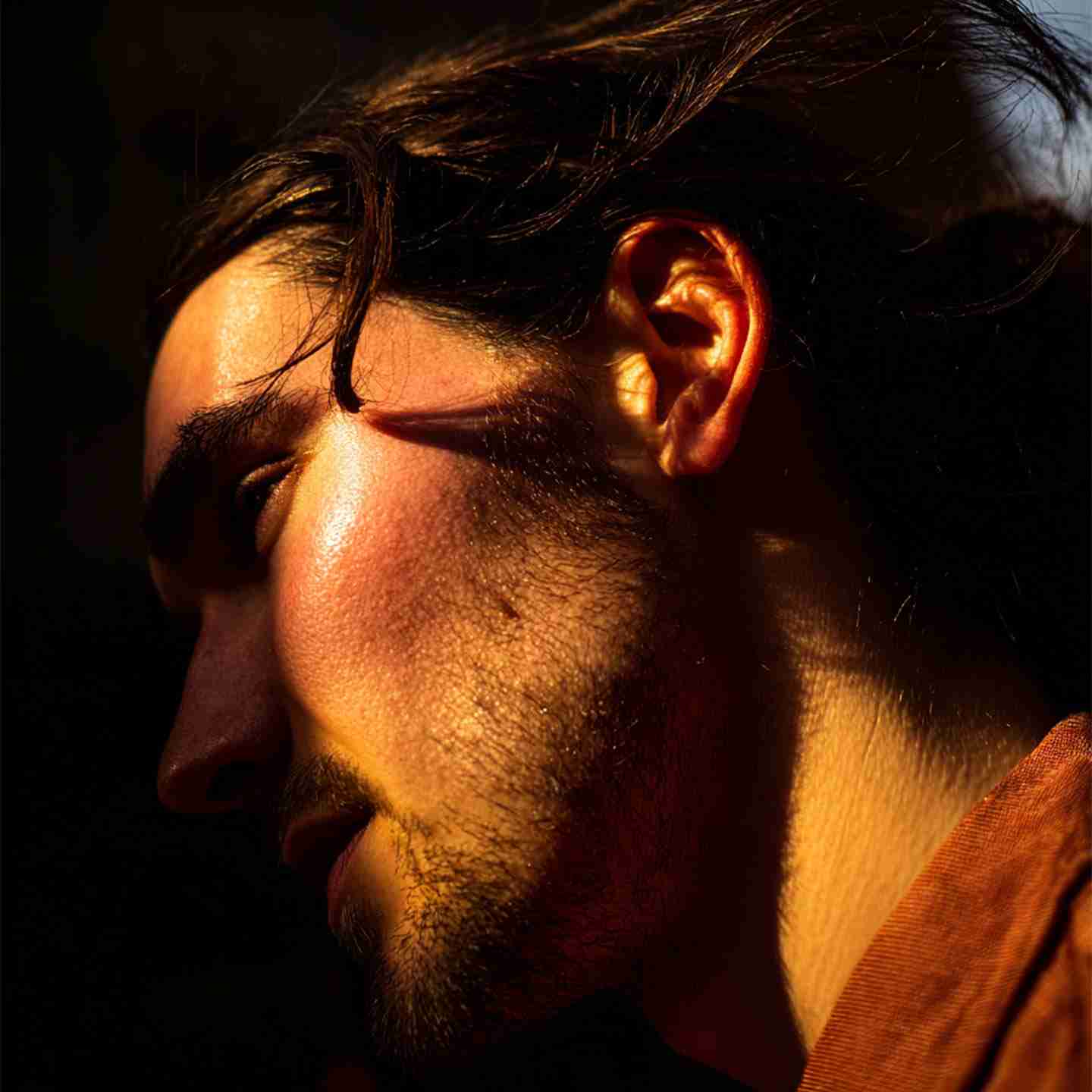 Pitta hair oil sunset refuge
